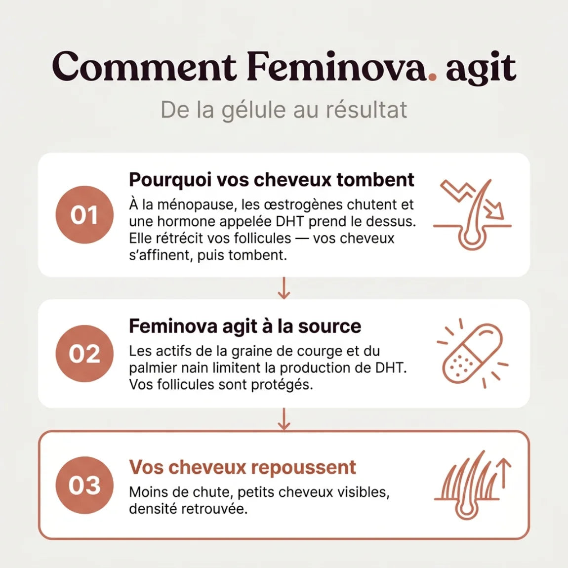 Repousses sur la ligne frontale après deux mois de cure Feminova